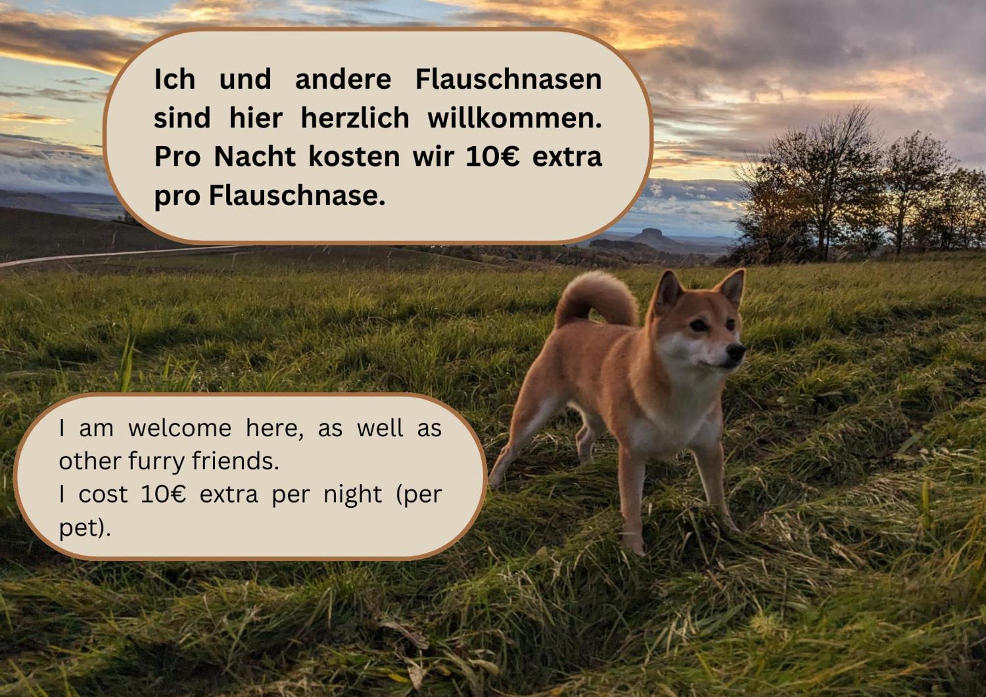 W2 - Urlaubsmagie - Im Herzen Des Elbsandsteingebirges เซบนิทซ์ ภายนอก รูปภาพ